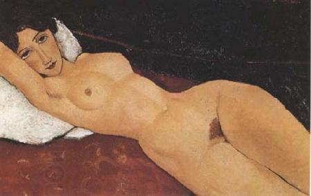 Amedeo Modigliani Reclining Nude on White Pillow (mk09) oil painting picture
